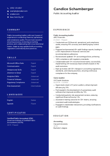 Public Accounting Auditor Resume Template #3