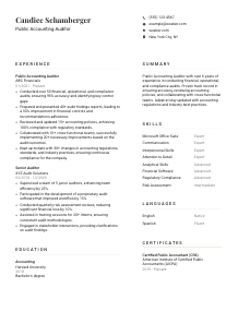 Public Accounting Auditor Resume Template #1