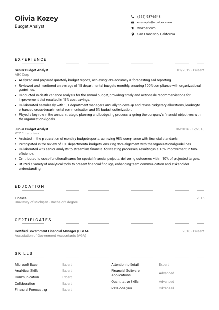 Budget Analyst CV Example