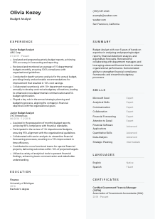 Budget Analyst CV Template #12