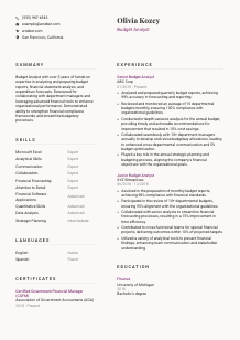 Budget Analyst Resume Template #20