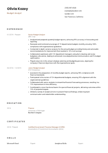 Budget Analyst Resume Template #6