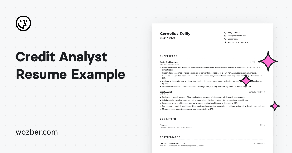 Credit Analyst Resume Example