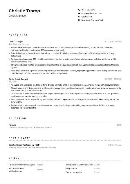 Credit Manager CV Example