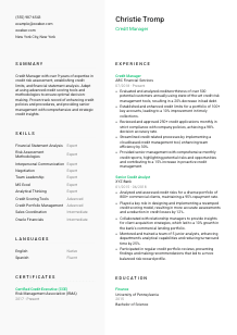Credit Manager CV Template #14