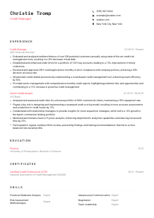 Credit Manager CV Template #4