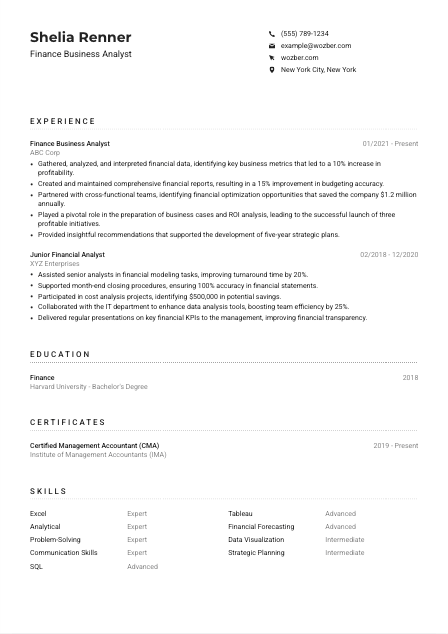 Finance Business Analyst Resume Example