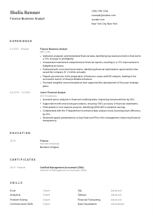Finance Business Analyst Resume Template #1