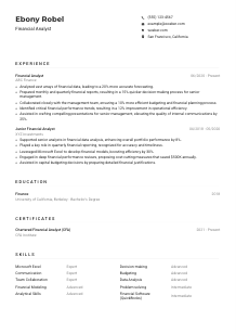 Financial Analyst CV Example