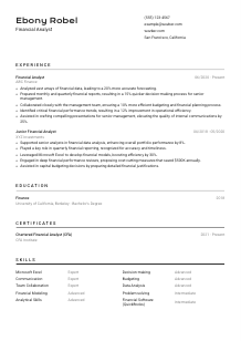 Financial Analyst CV Template #9