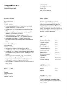 Financial Assistant Resume Template #2