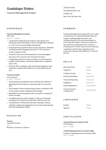 Financial Management Analyst Resume Template #1