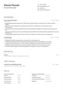 Financial Risk Analyst Resume Example
