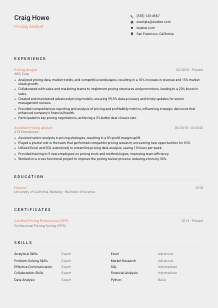 Pricing Analyst CV Template #3