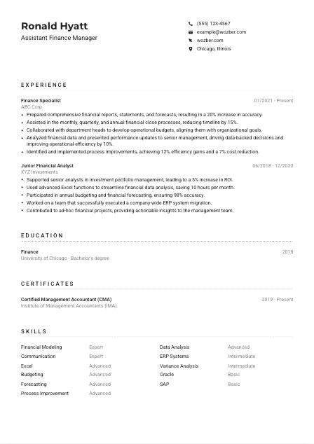 Assistant Finance Manager CV Example