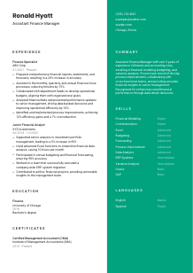 Assistant Finance Manager CV Template #2