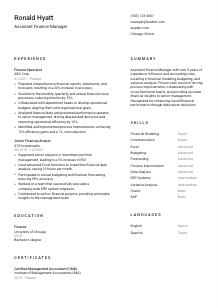 Assistant Finance Manager CV Template #1