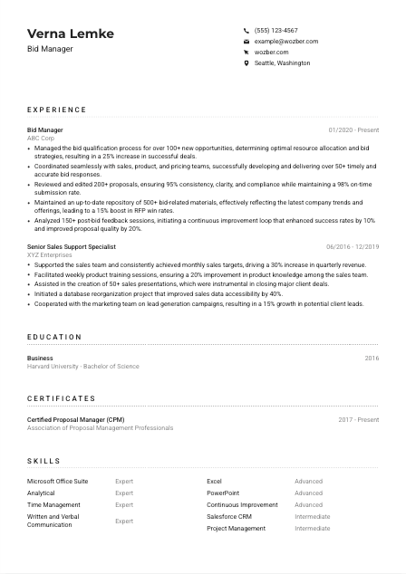 Bid Manager CV Example