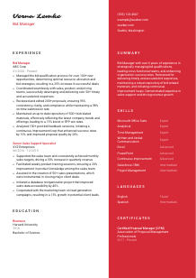Bid Manager CV Template #3