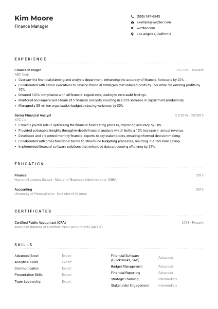 Finance Manager Resume Example