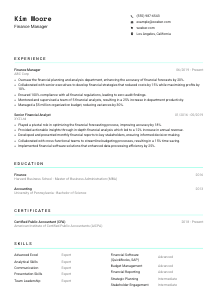 Finance Manager Resume Template #18