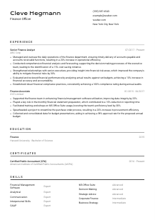 Finance Officer CV Template #2