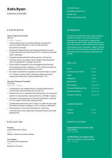 Financial Controller CV Template #2