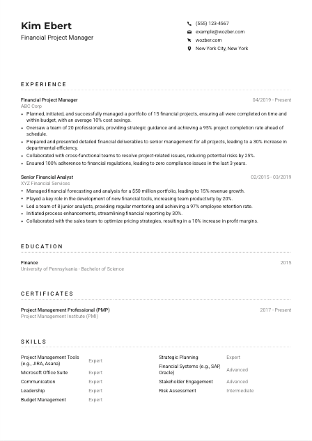 Financial Project Manager CV Example