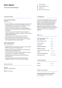 Financial Project Manager CV Template #10
