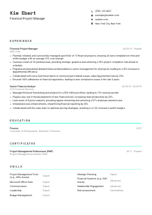 Financial Project Manager CV Template #18