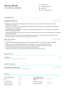 Financial Reporting Manager Resume Template #3