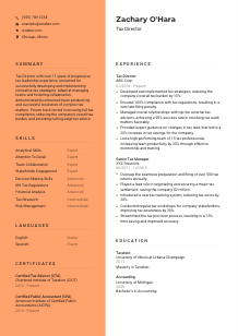 Tax Director Resume Template #3