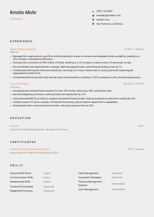 Treasurer Resume Template #3