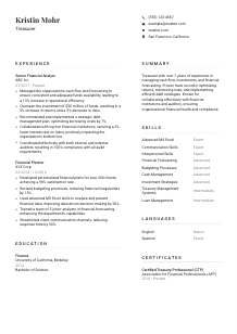 Treasurer Resume Template #1