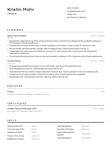 Treasurer Resume Template #2