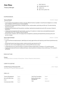 Treasury Manager CV Example