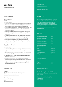 Treasury Manager Resume Template #2