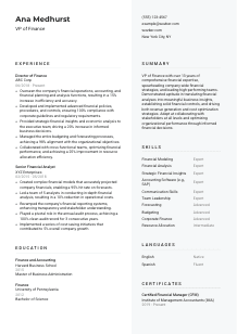 VP of Finance CV Template #2