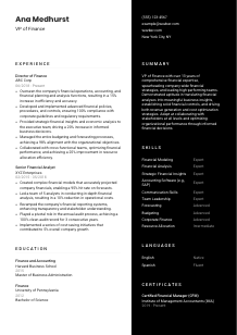 VP of Finance Resume Template #3