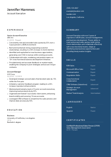 Account Executive CV Template #2