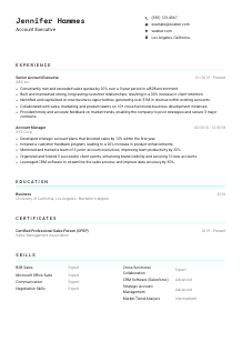 Account Executive Resume Example