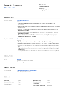 Account Executive CV Template #1