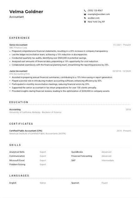 Accountant CV Example