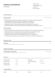 Accountant CV Template #9