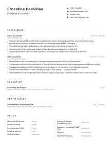 Chartered Accountant Resume Example