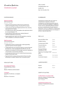 Chartered Accountant CV Template #2