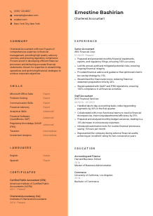 Chartered Accountant CV Template #3