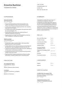 Chartered Accountant CV Template #1