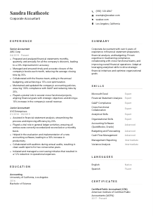 Corporate Accountant Resume Template #7