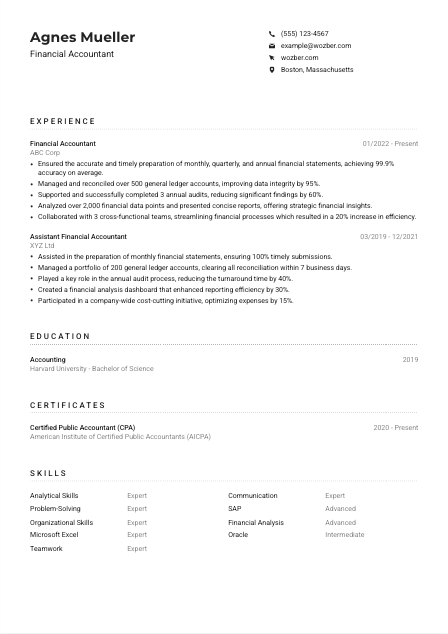 Financial Accountant Resume Example